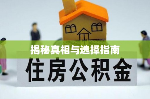 如东揭秘真相与选择指南