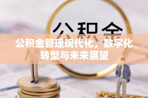 如东公积金管理现代化，数字化转型与未来展望