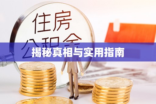 如东揭秘真相与实用指南