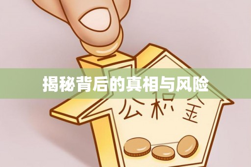 如东揭秘背后的真相与风险