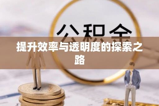 如东提升效率与透明度的探索之路