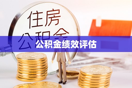 如东公积金绩效评估