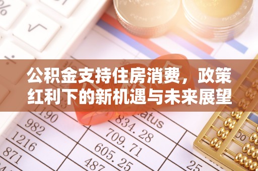 如东公积金支持住房消费，政策红利下的新机遇与未来展望
