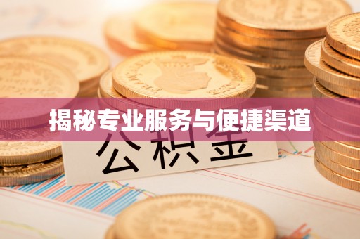 如东揭秘专业服务与便捷渠道