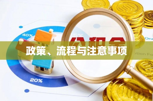 如东政策、流程与注意事项