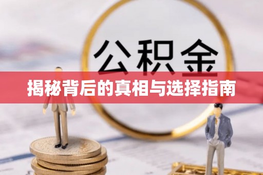如东揭秘背后的真相与选择指南