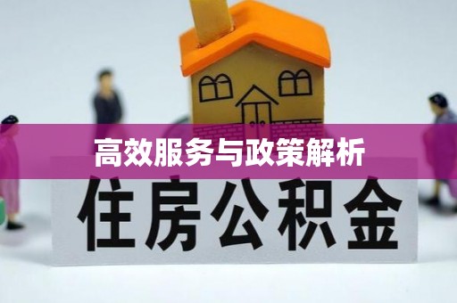 如东高效服务与政策解析