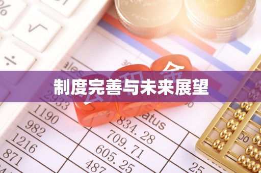 如东制度完善与未来展望