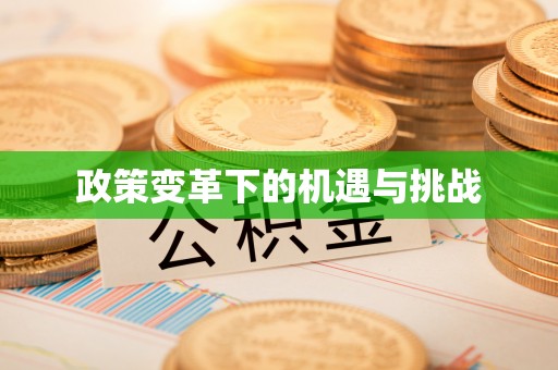 如东政策变革下的机遇与挑战