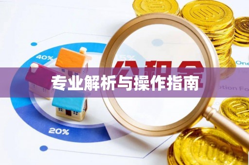 如东专业解析与操作指南