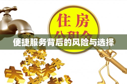 如东便捷服务背后的风险与选择